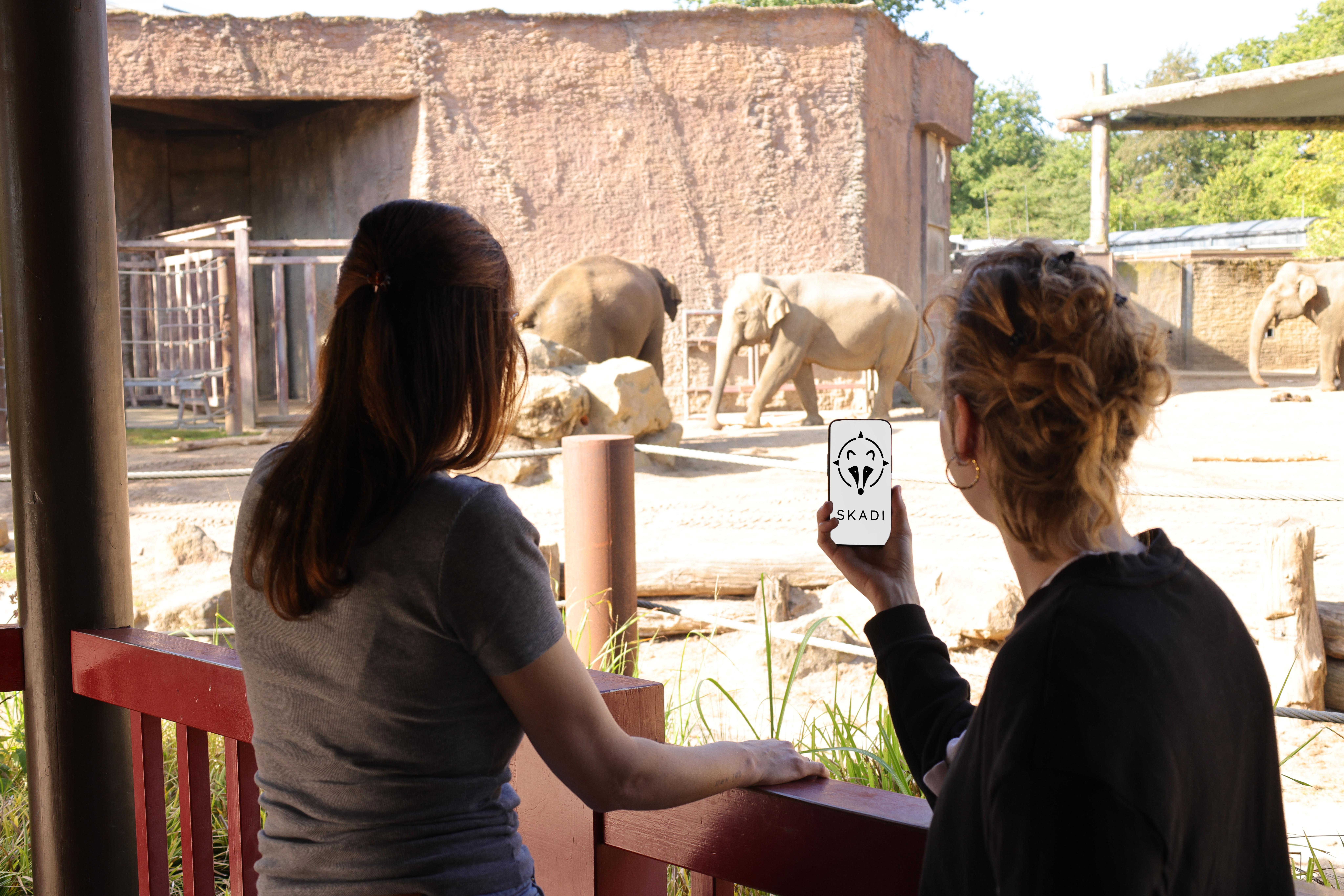 Zwei Zoobesucherinnen am Elefanten-Gehege, die Informationen über ein Smartphone aufrufen