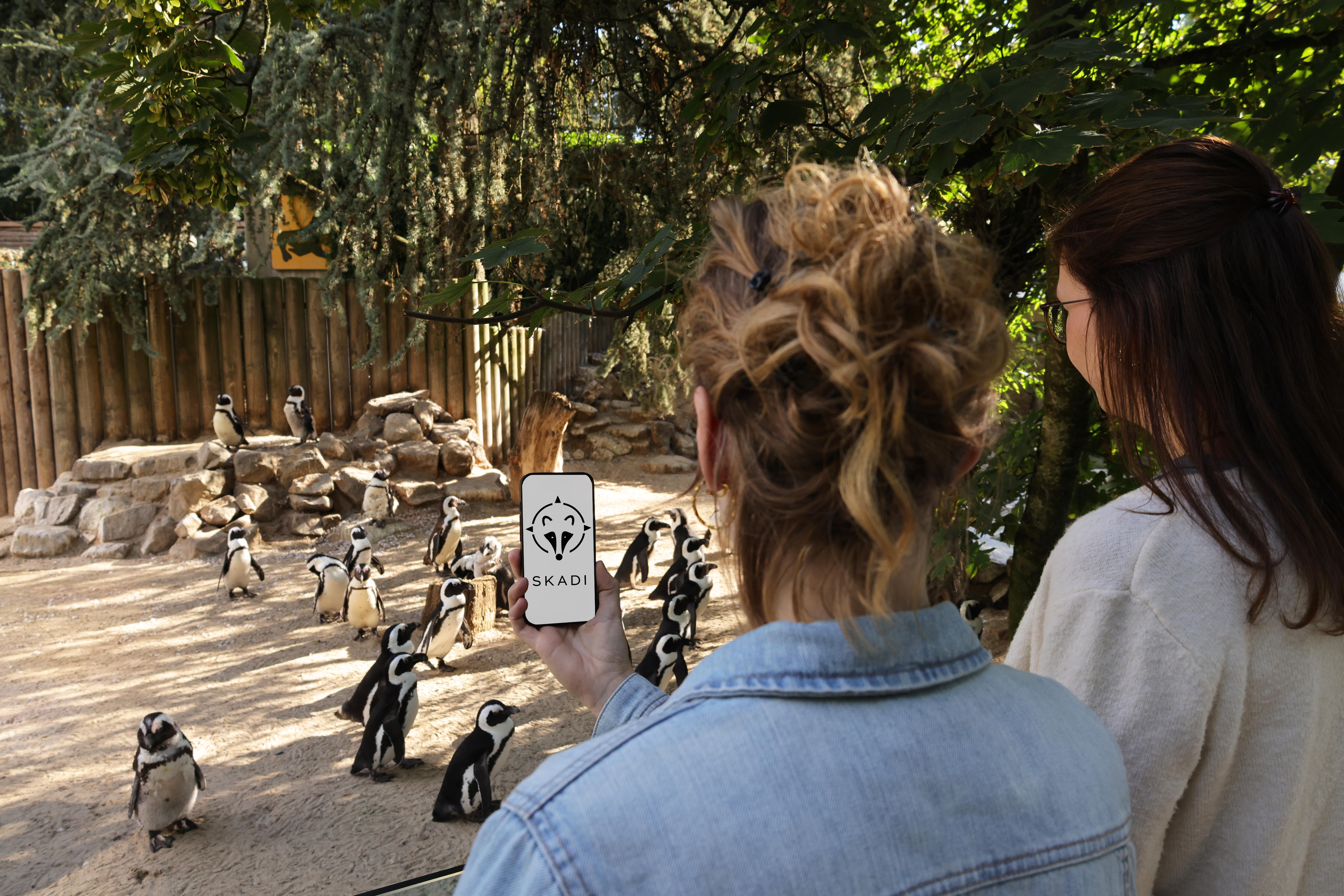 Zwei Zoobesucherinnen am Pinguin-Gehege, die Informationen über ein Smartphone aufrufen