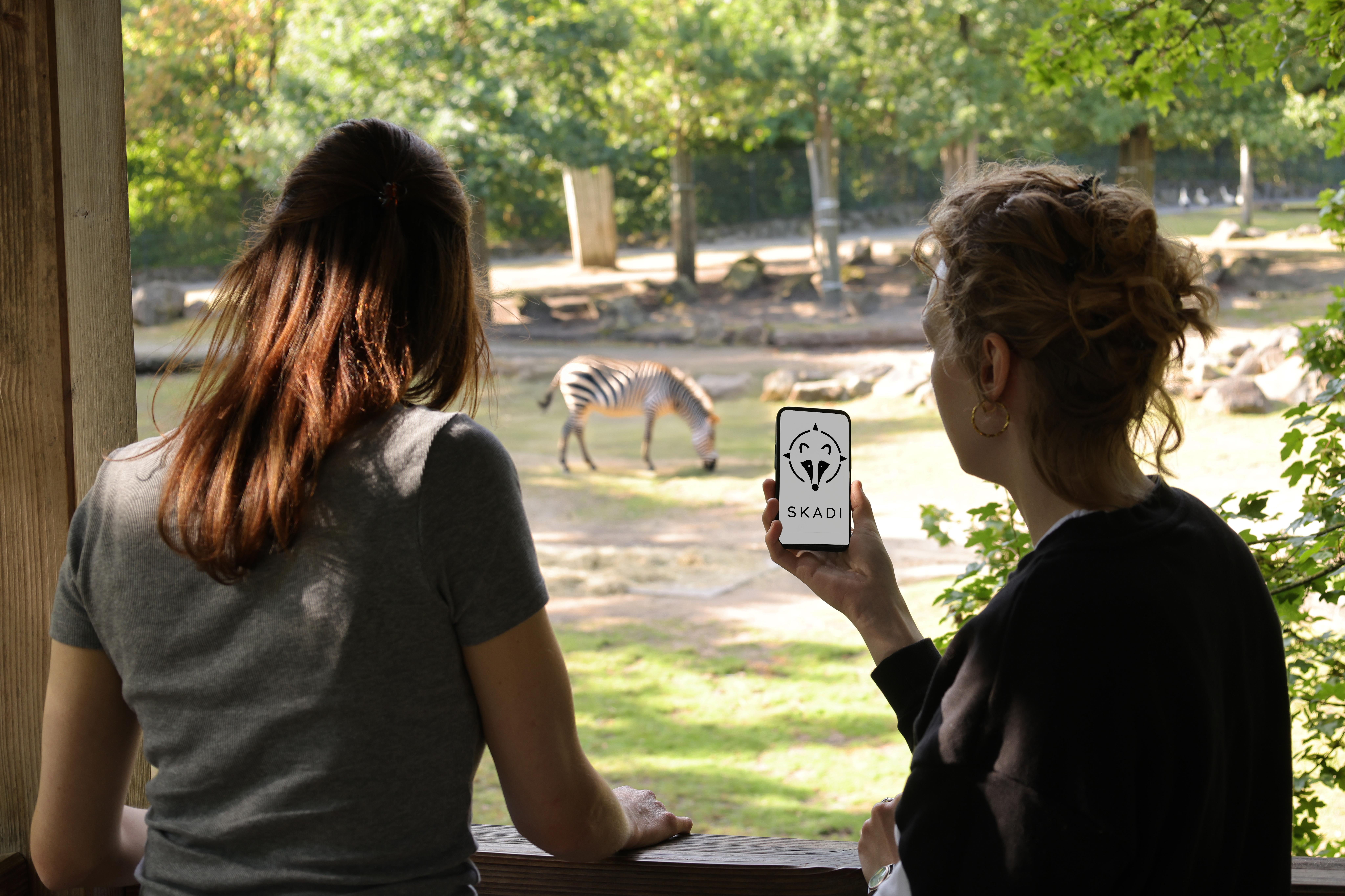 Zwei Zoobesucherinnen schauen auf ein Zebra und rufen informationen im Smartphone auf.