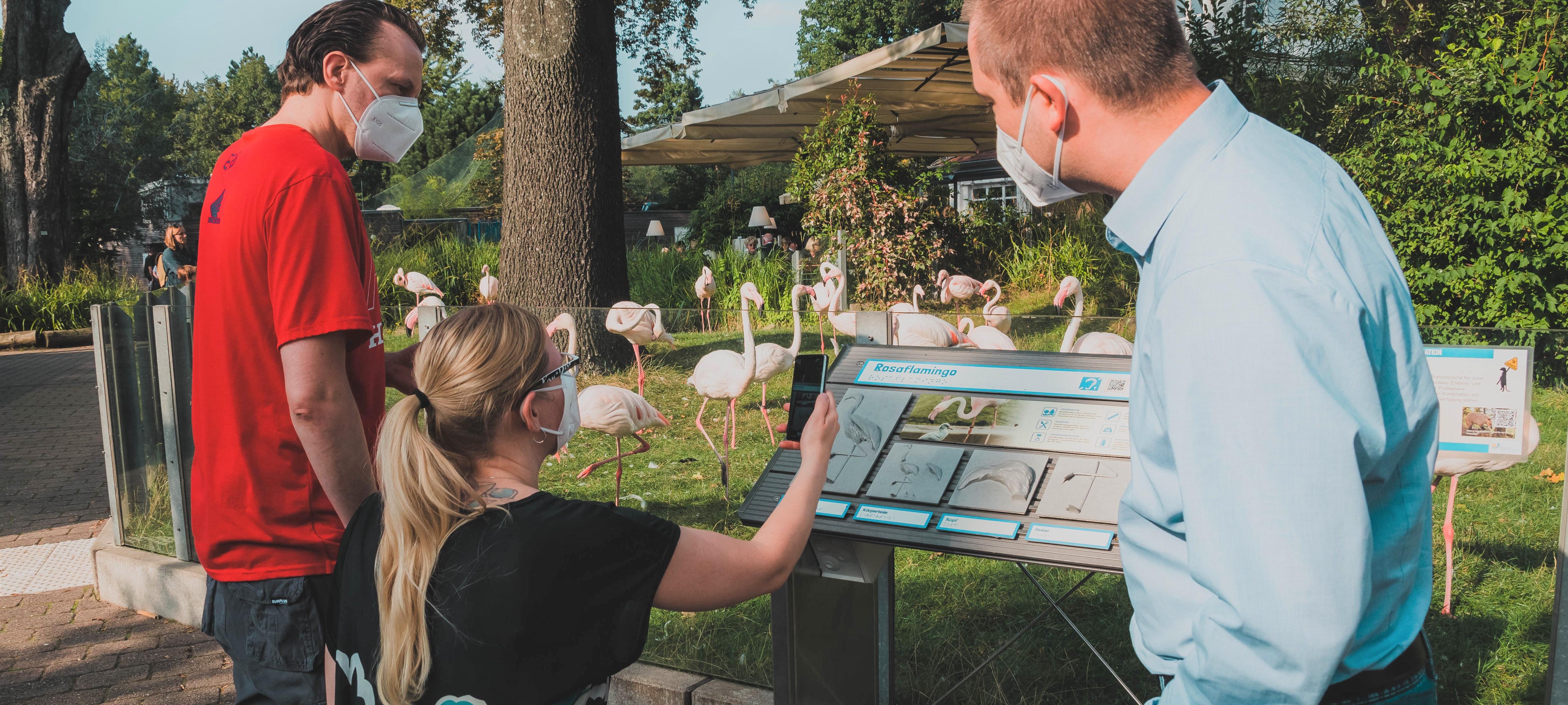 Eine Person, die in einem Rollstuhl sitzt, sowie zwei Personen, die stehen, befinden sich vor einem Gehege, in dem viele Plastik-Flamingos stehen..