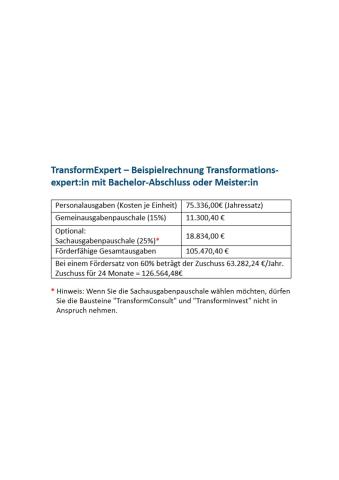 beispielrechnung_transformexpert_bachelor_meister-vorschaubild.jpg